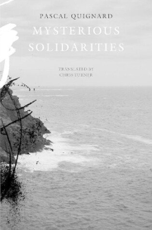 Cover of Mysterious Solidarities