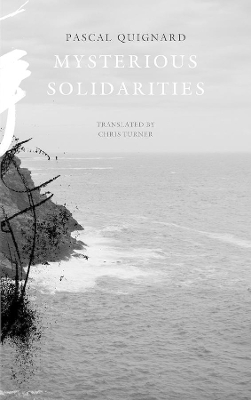 Book cover for Mysterious Solidarities