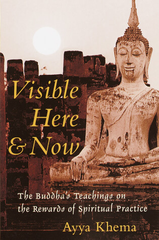 Cover of Visible Here and Now