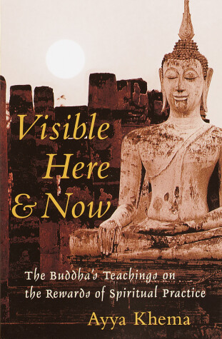 Book cover for Visible Here and Now