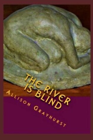 Cover of The River is Blind