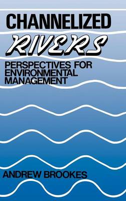 Book cover for Channelized Rivers