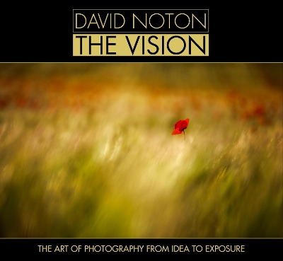 Book cover for David Noton the Vision