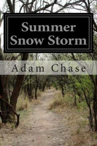 Cover of Summer Snow Storm