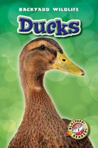 Cover of Ducks