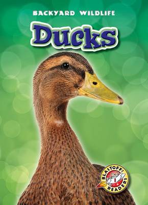 Cover of Ducks