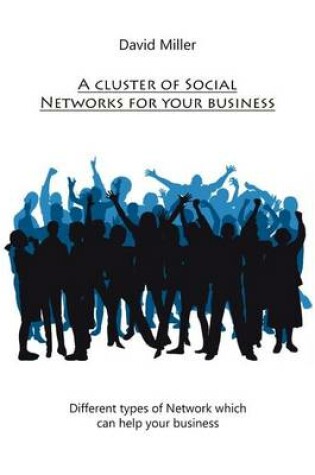 Cover of A Cluster of Social Networks for Your Business