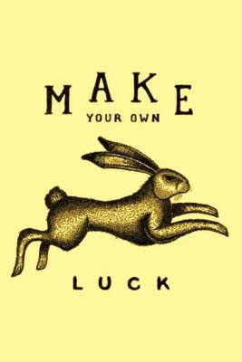 Book cover for Make Your Own Luck
