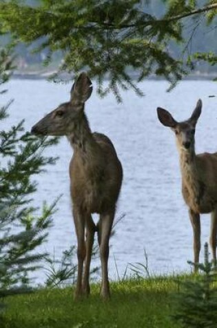 Cover of A Pair of Deer by the Lake's Edge