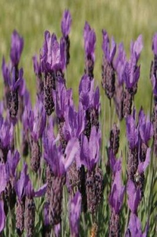 Cover of Floral Journal Lavender Meadow Flowers