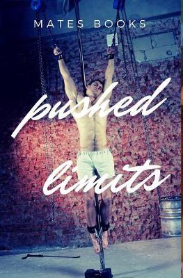 Book cover for Pushed Limits