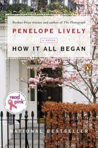Cover of Read Pink How It All Began