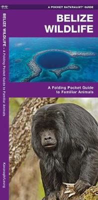 Book cover for Belize Wildlife