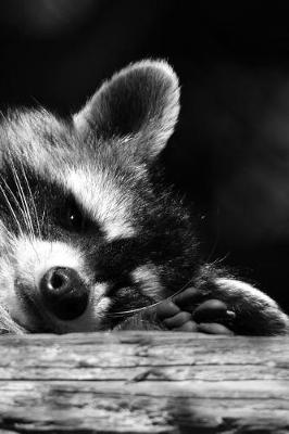 Book cover for Raccoon Taking a nap on a Log in Black and White Journal