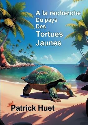 Book cover for A la recherche du pays des Tortues Jaunes