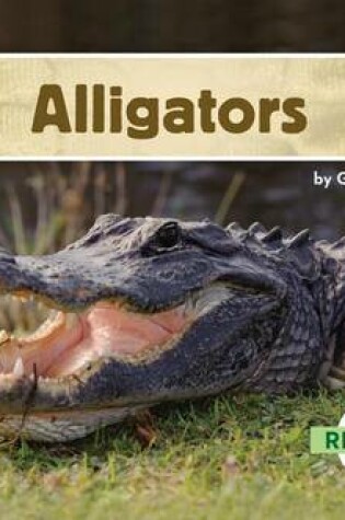 Cover of Alligators