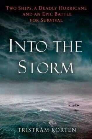 Cover of Into the Storm