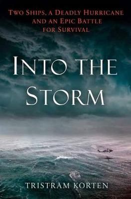 Book cover for Into the Storm