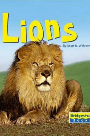 Cover of Lions