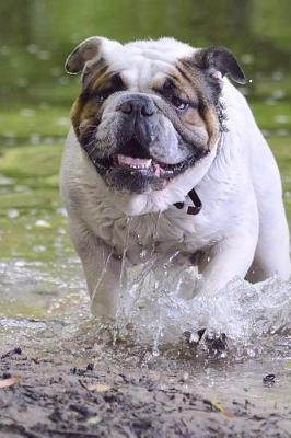 Book cover for English Bulldog Running in the Water Journal