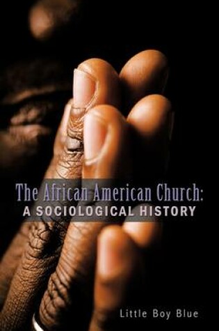 Cover of The African American Church