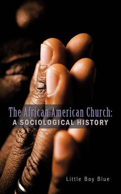 Book cover for The African American Church