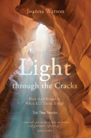 Cover of Light through the Cracks