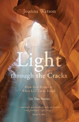 Book cover for Light through the Cracks