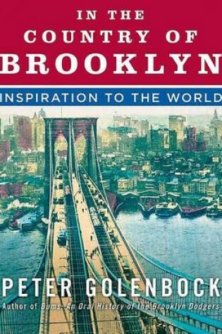Cover of In the Country of Brooklyn
