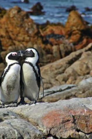 Cover of A Pair of Mated African Penguins Standing on the Rocky Shore