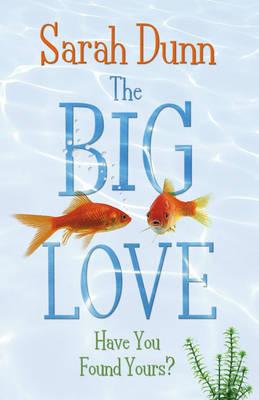 Book cover for Big Love
