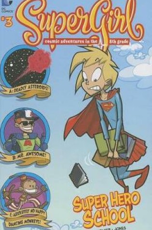 Cover of Super Hero School