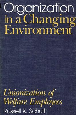 Book cover for Organization in a Changing Environment