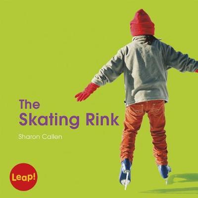 Book cover for The Skating Rink