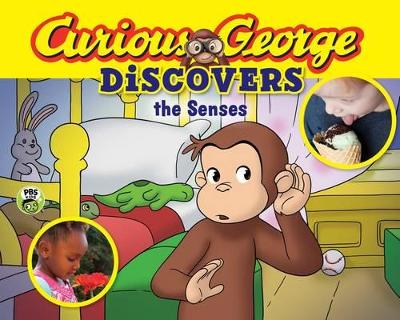 Book cover for Curious George Discovers the Senses