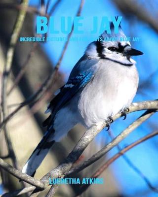 Book cover for Blue Jay