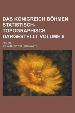 Cover of Das Konigreich Bohmen Statistisch-Topographisch Dargestellt; Pilsen Volume 6