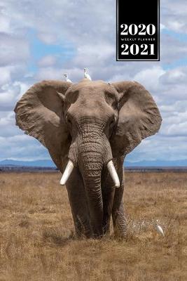 Cover of Elephant Mammoth Week Planner Weekly Organizer Calendar 2020 / 2021 - Birds on Head