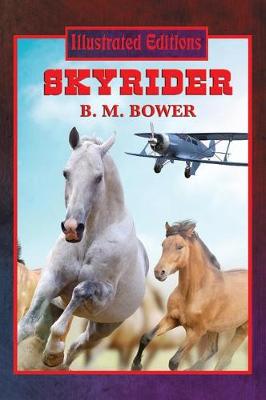 Book cover for Skyrider (Illustrated Edition)