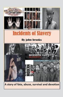 Book cover for Incidents of Slavery