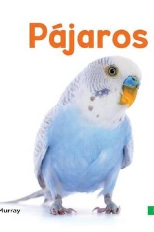 Cover of Pájaros (Birds) (Spanish Version)