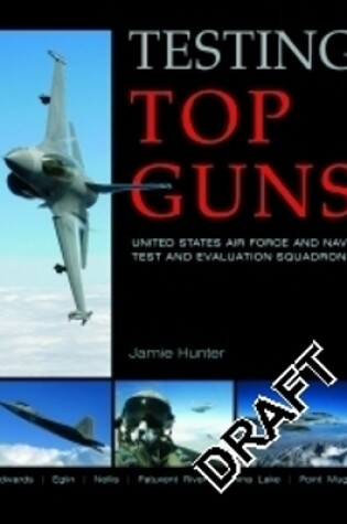 Cover of Testing Top Guns