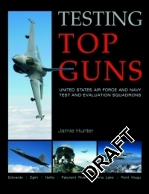 Book cover for Testing Top Guns