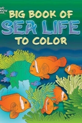 Cover of Big Book of Sea Life to Color