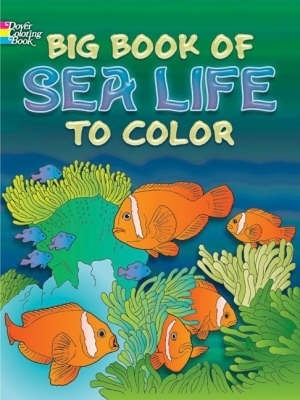 Book cover for Big Book of Sea Life to Color