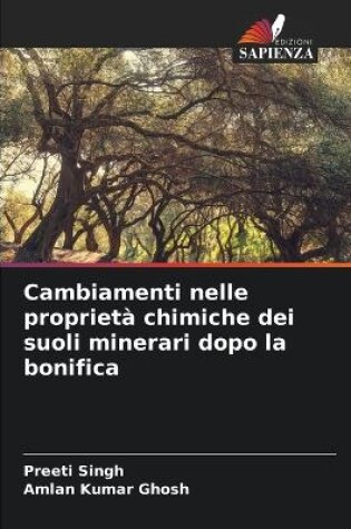 Cover of Cambiamenti nelle proprietà chimiche dei suoli minerari dopo la bonifica