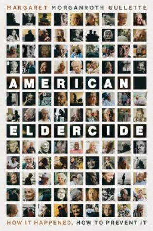 Cover of American Eldercide