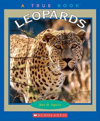 Book cover for Leopards