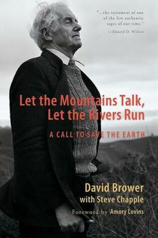 Cover of Let the Mountains Talk, Let the Rivers Run