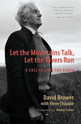 Book cover for Let the Mountains Talk, Let the Rivers Run